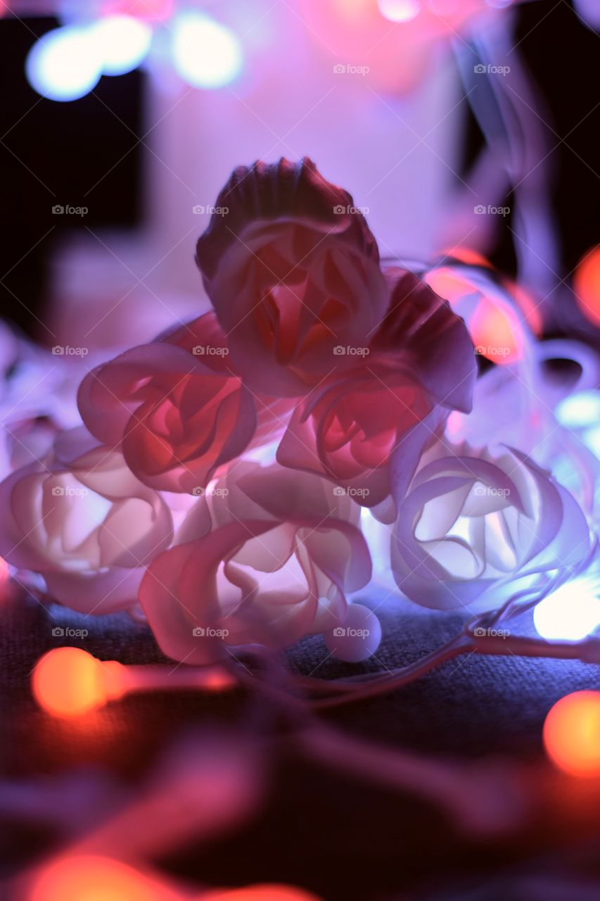 A bouquet of glowing roses. Multicolored bokeh and Led candles.