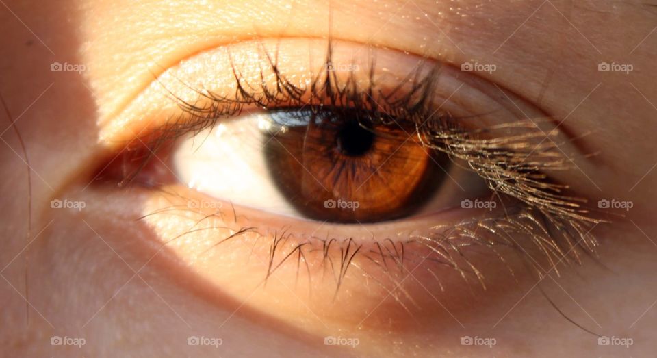 Beautiful eye