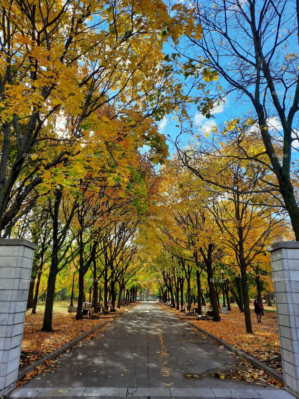 Lafontaine Park in the fall