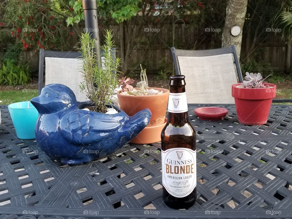 Guiness Blonde