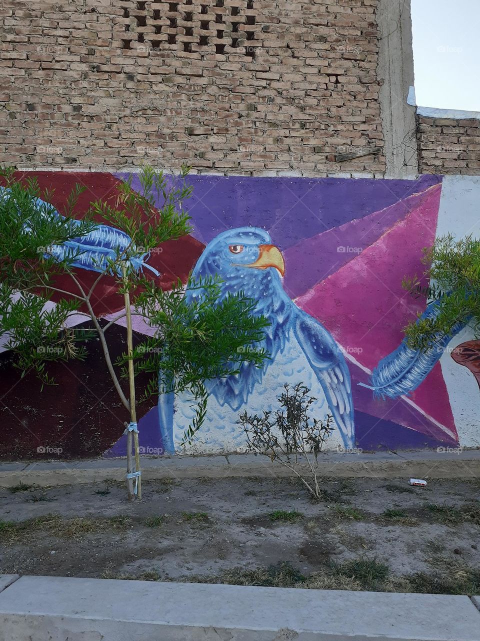 arte visual callejero. Mendoza