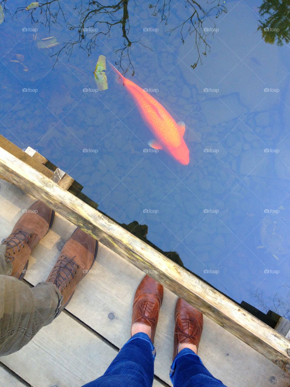 Sibling Adventure. My brother and I love the Japanese Gardens and all they have to offer.