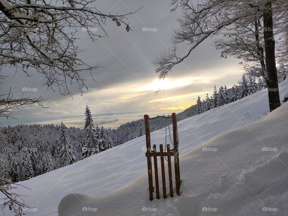 snowsled in the snow