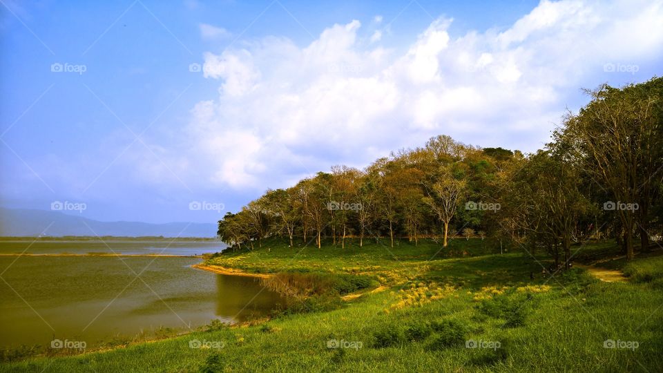 Scenic view of lake and trees