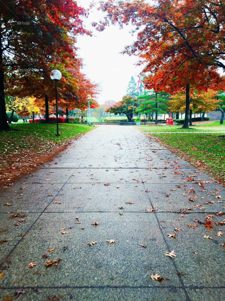 Path at Rutgers University 