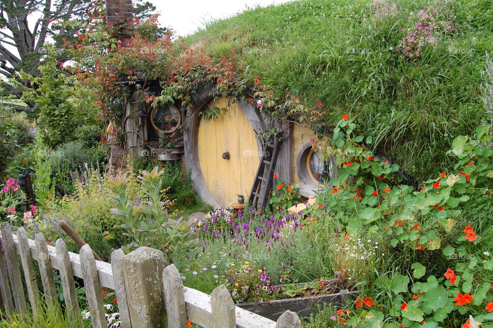 A visit to Hobbiton 