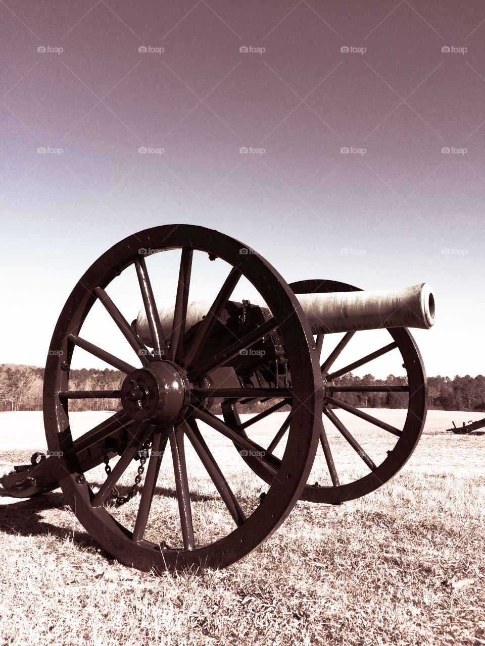 Cannon at Chickamauga Battlefield 