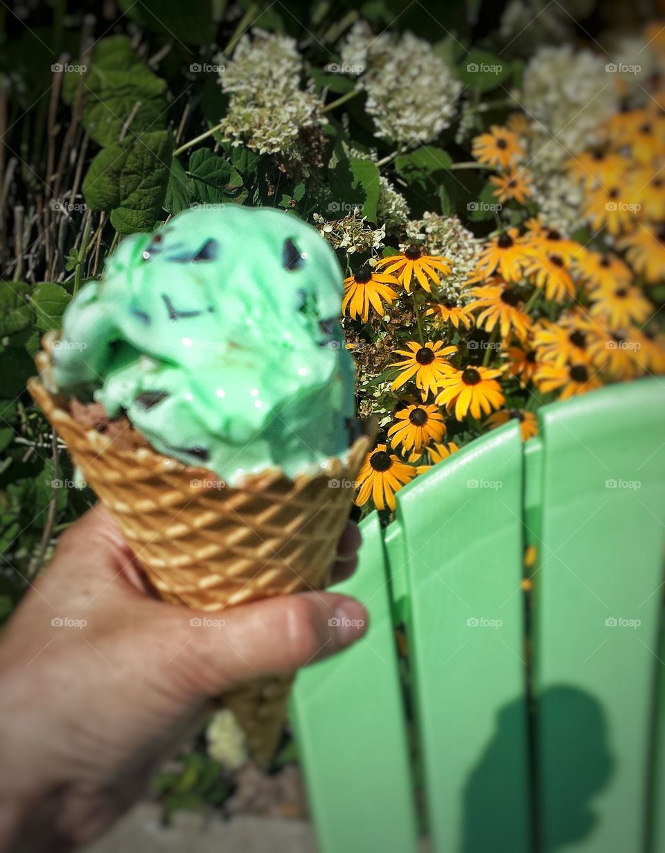 Hands Holding Ice Cream. Mint Chip in a Waffle Cone