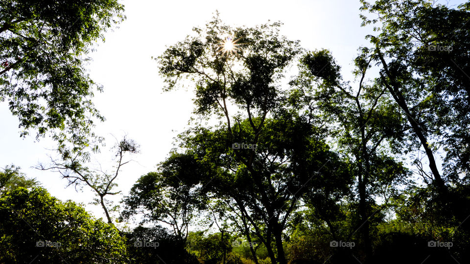 Find where is the sun!