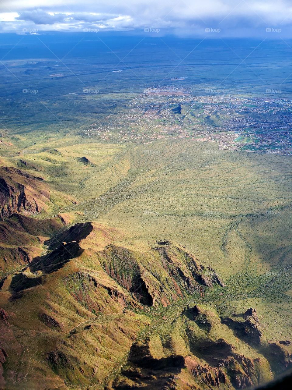 The Arizona desert is lush and green after some spring rain