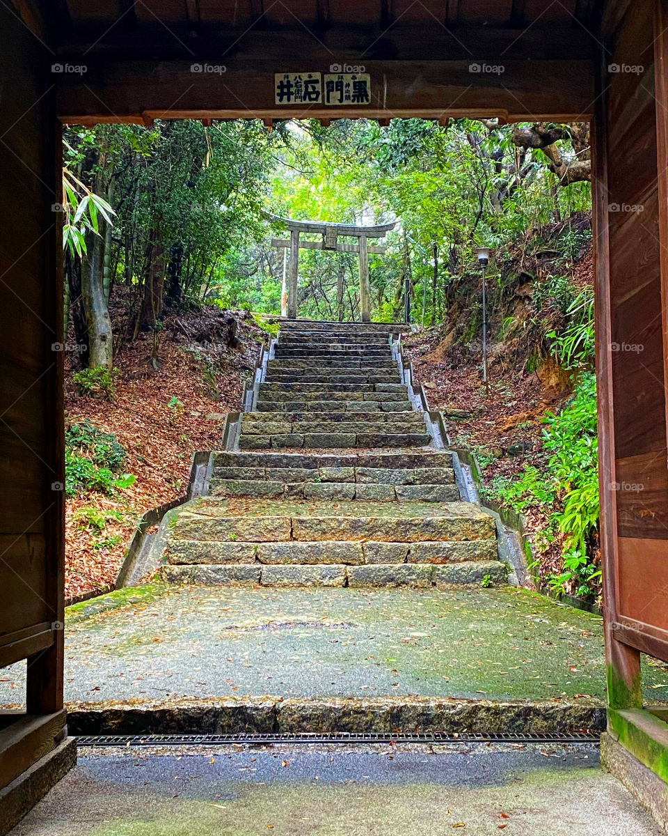 Doorway to serenity and peace. Torii gates at the top of the stairs. What else will you find once you’ve raced to the top?!