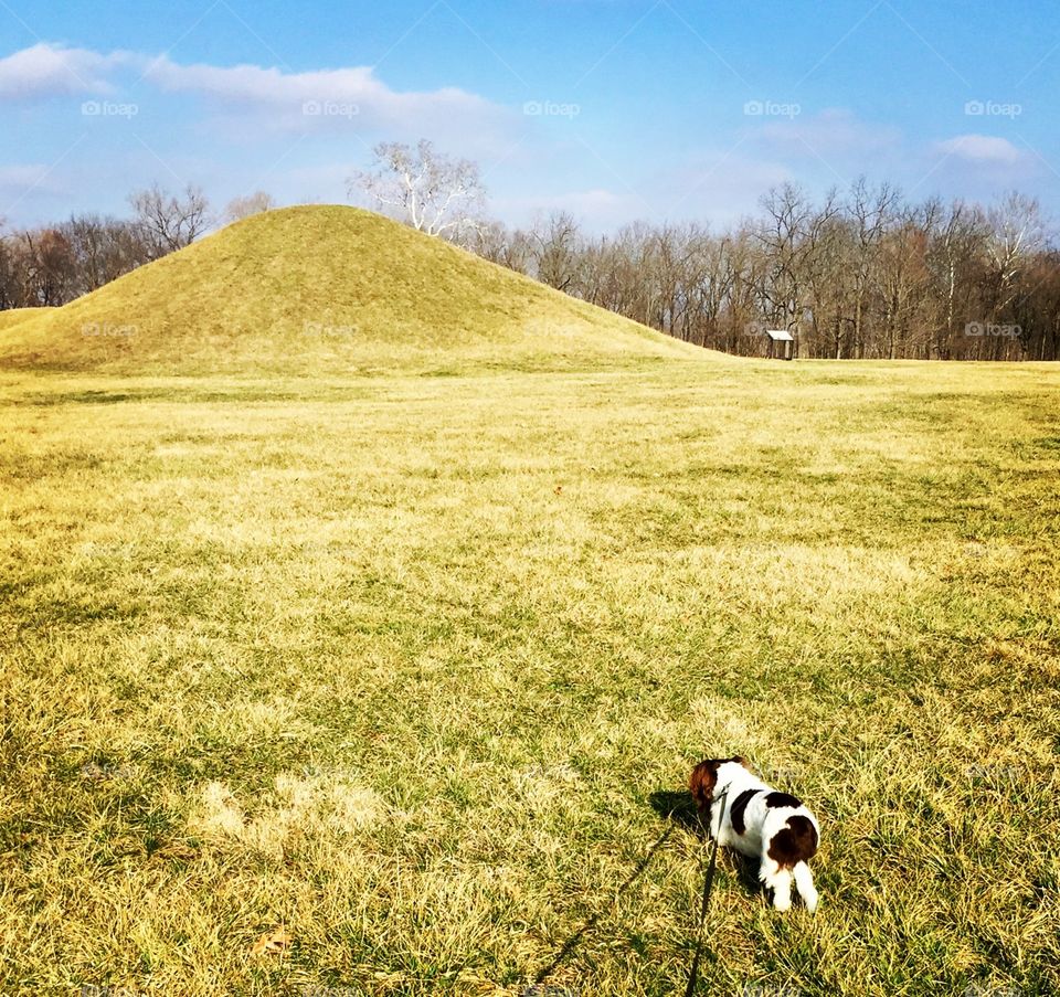 Hopewell Indian burial mounds. Hopewell Cultural Natural Historical Park, Chillicothe, OH