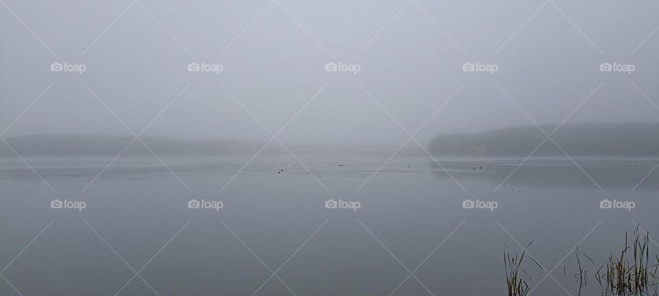 mist nature landscape