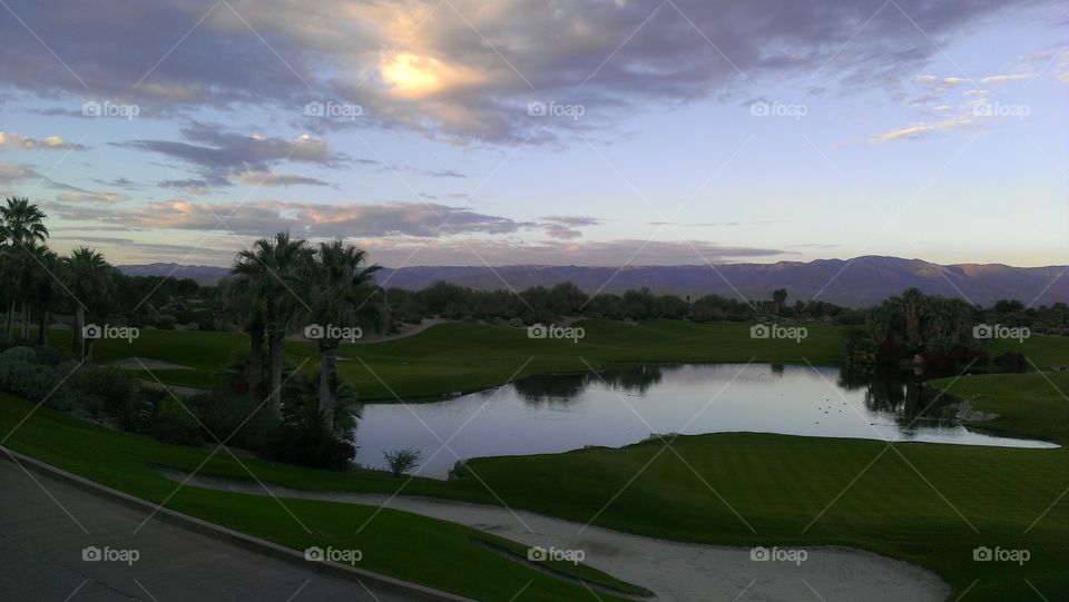 Golf, Landscape, No Person, Tree, Putt