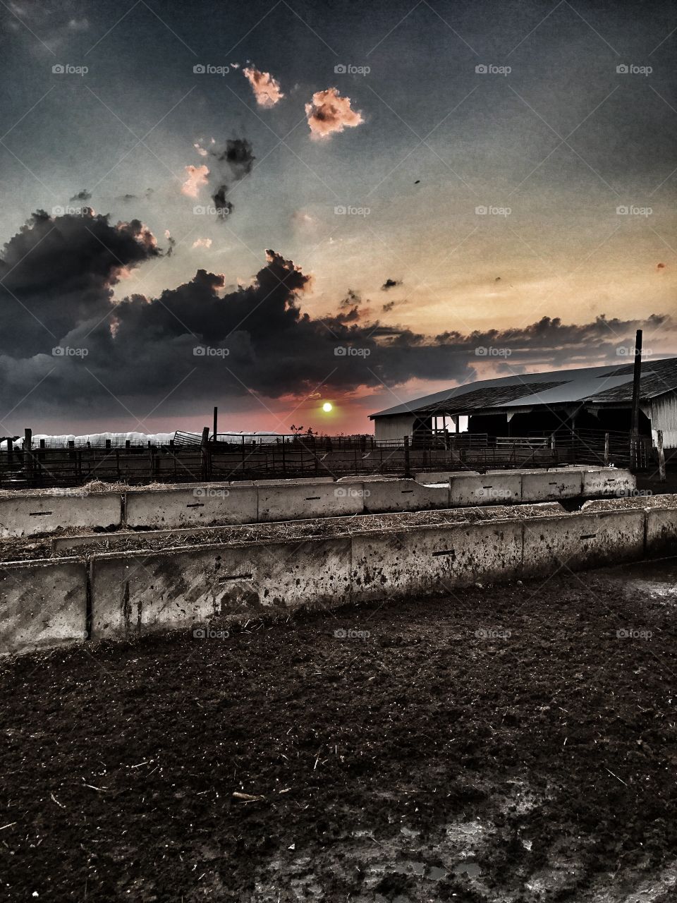Sunset over the cattle barn
