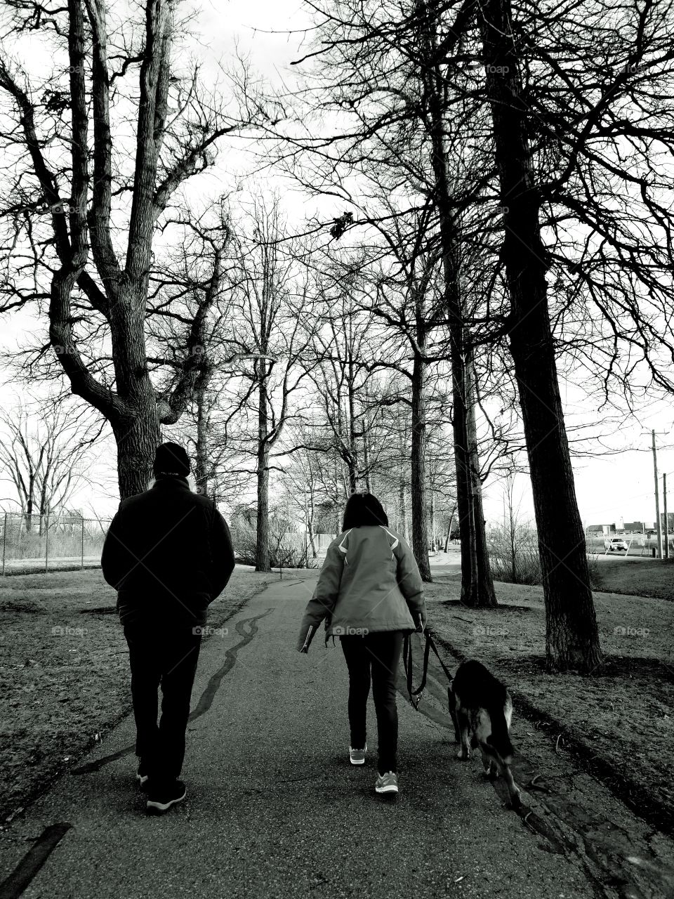 Walks with grandfather