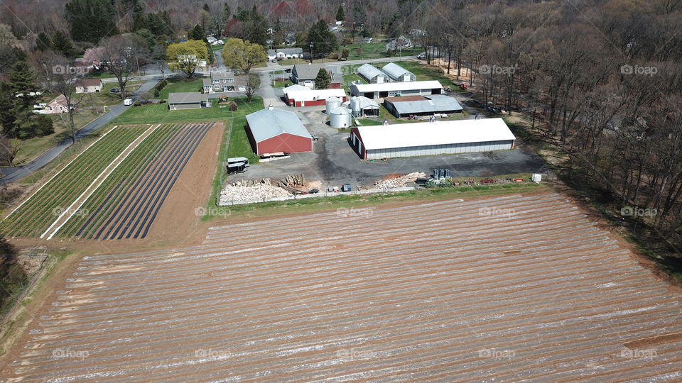 Family vegetable farm