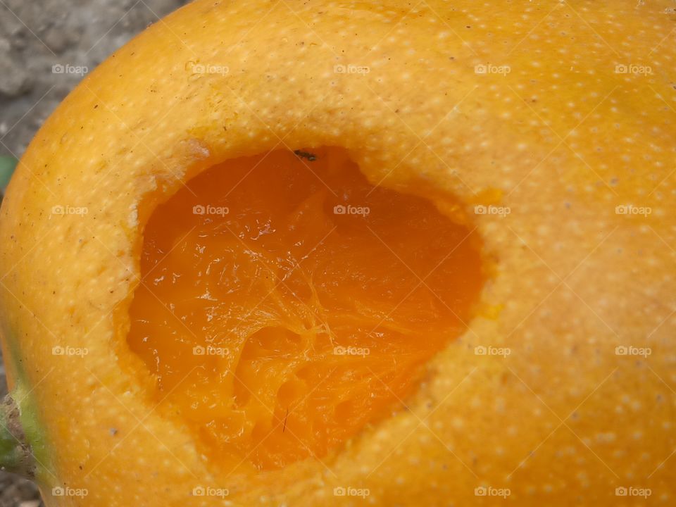 mango with a bite
