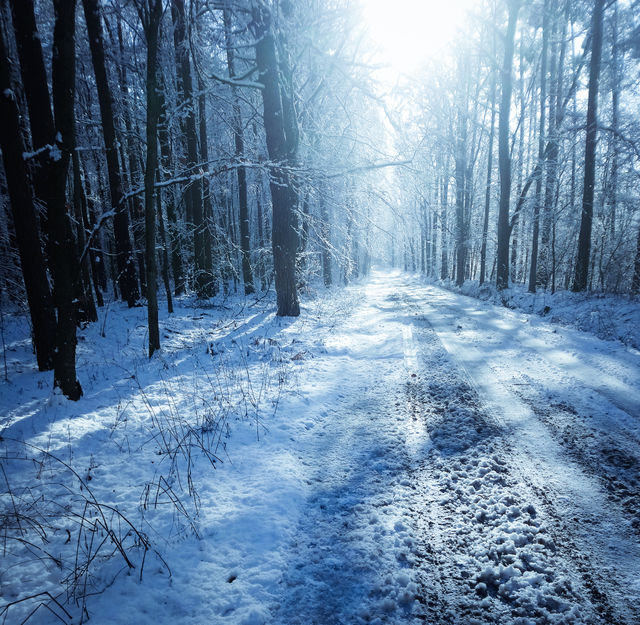 Winter