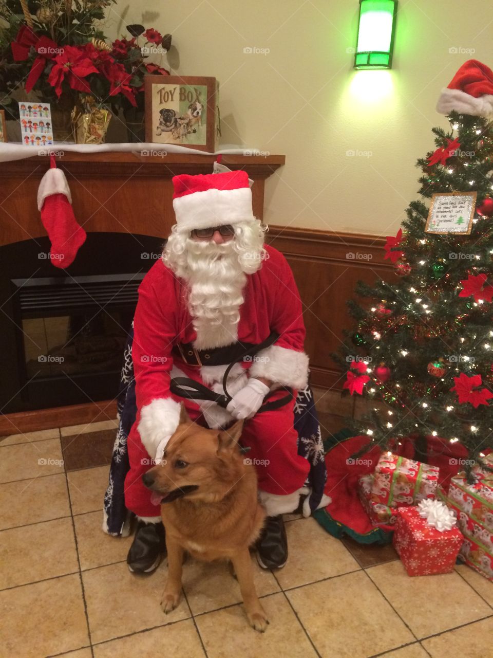 Jax visiting Santa at Petsmart 