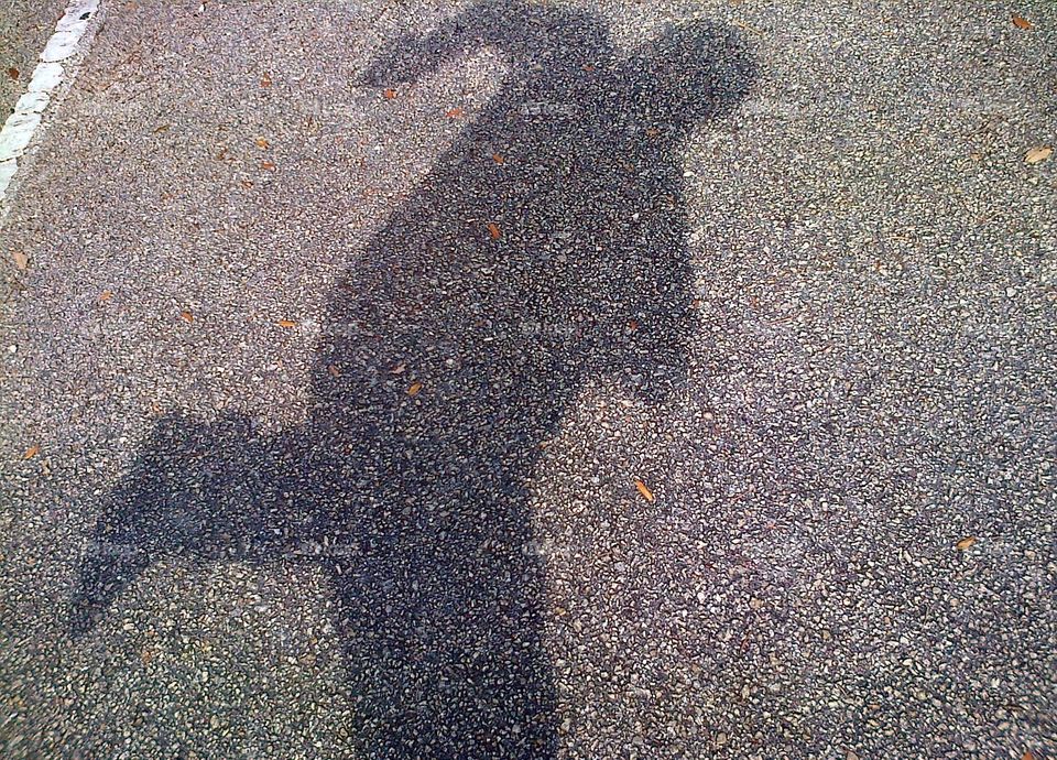 Running Jumping Shadow Sillouette
