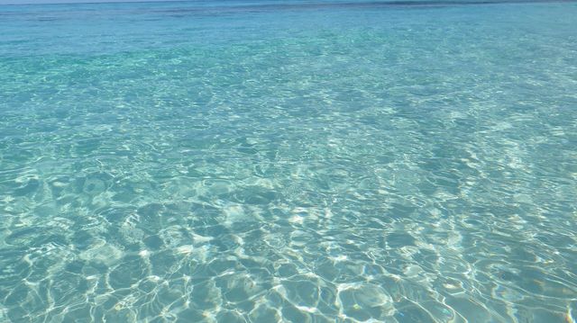 Caribbean magic 