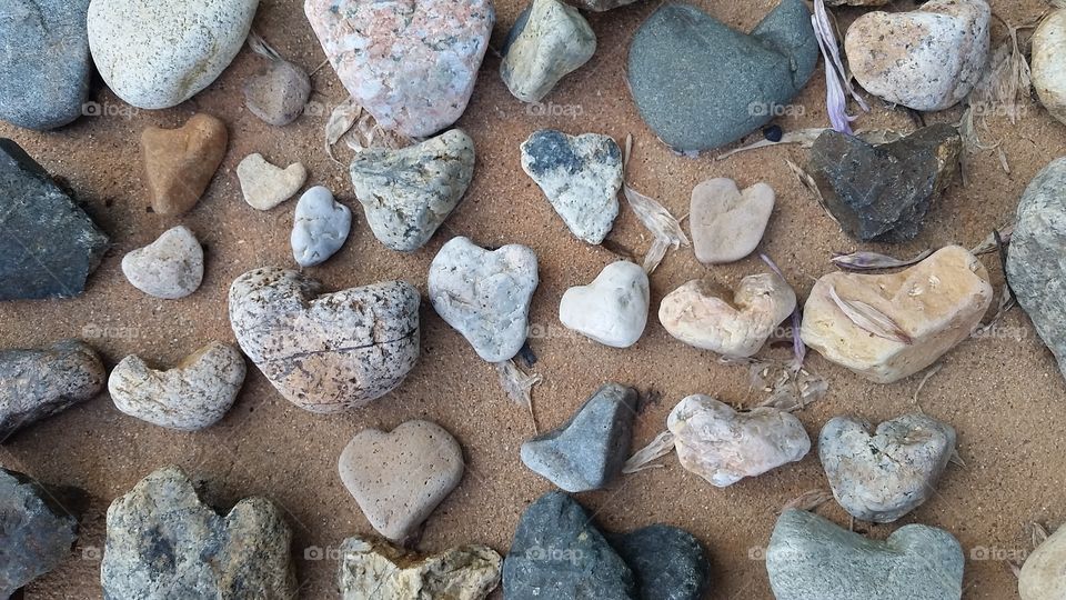 009. A collection of heart shaped rocks.