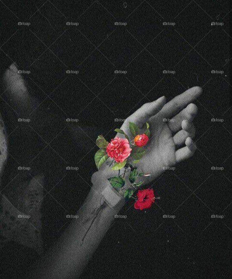 Flower, Rose, Wedding, People, Love