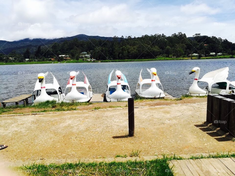 Clash of colours💡💡💡