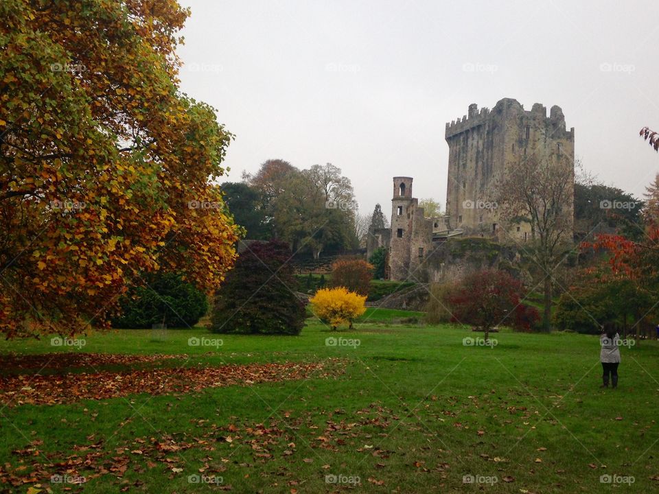 Autumn comes to Blarney Castle 