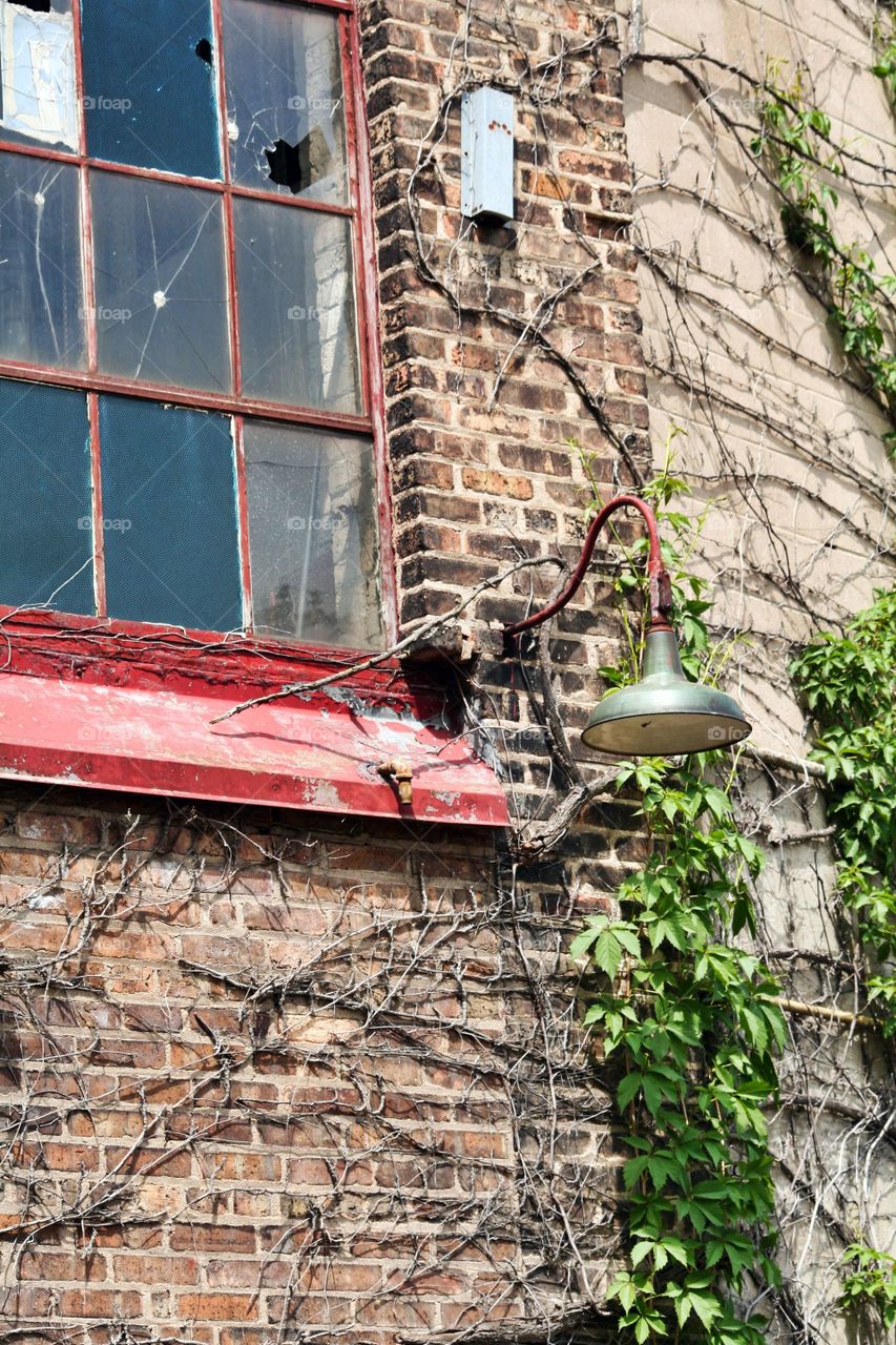 Window Through Time. A Old Brick building that nature is trying to reclaim, with a window framed in a weathered red.