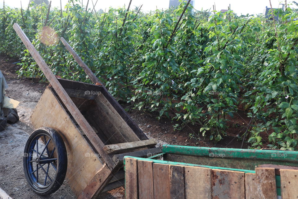 abandoned cart