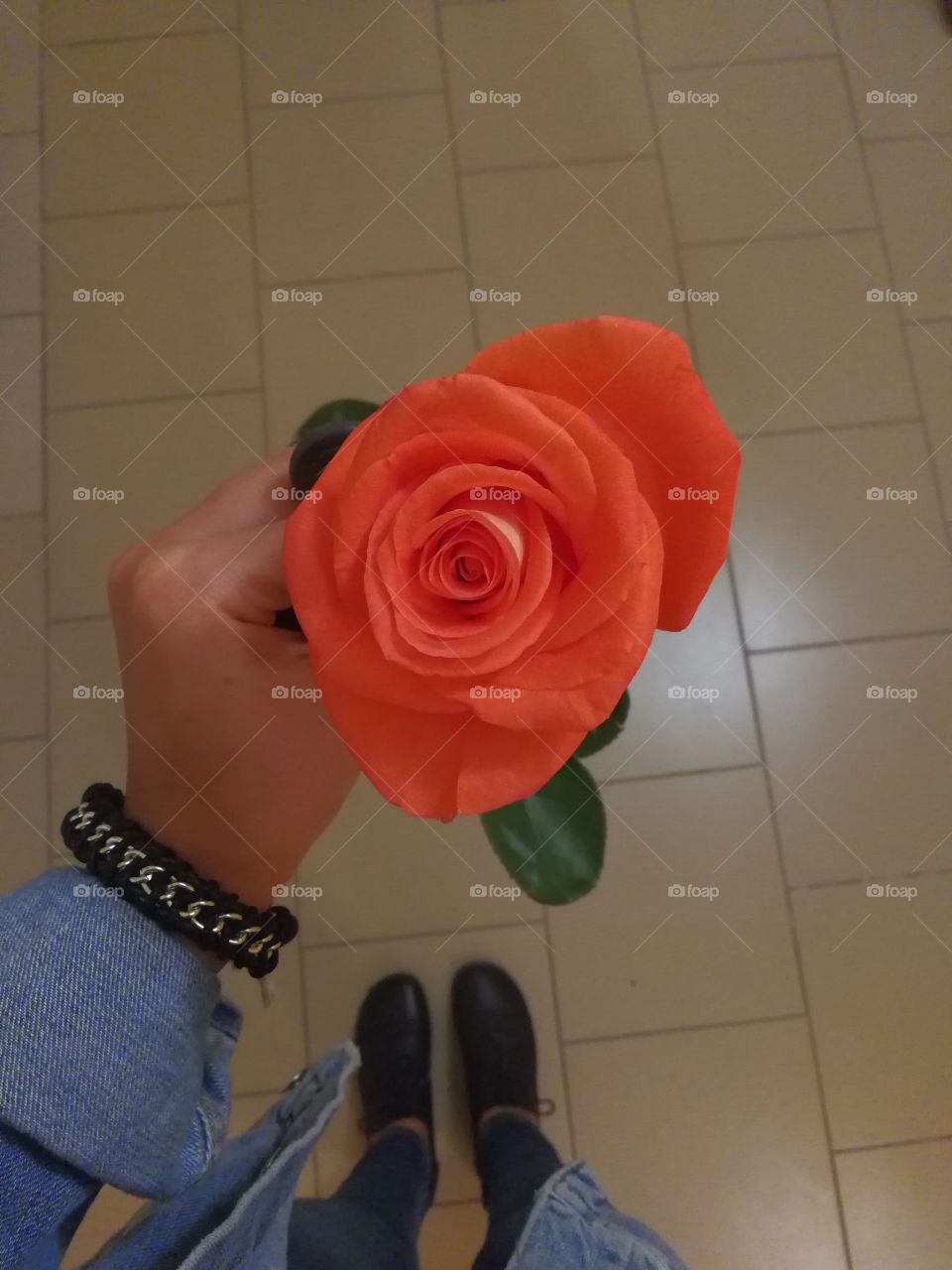 Flower,  rose