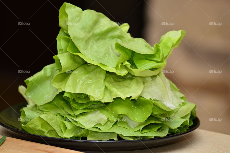 lettuce