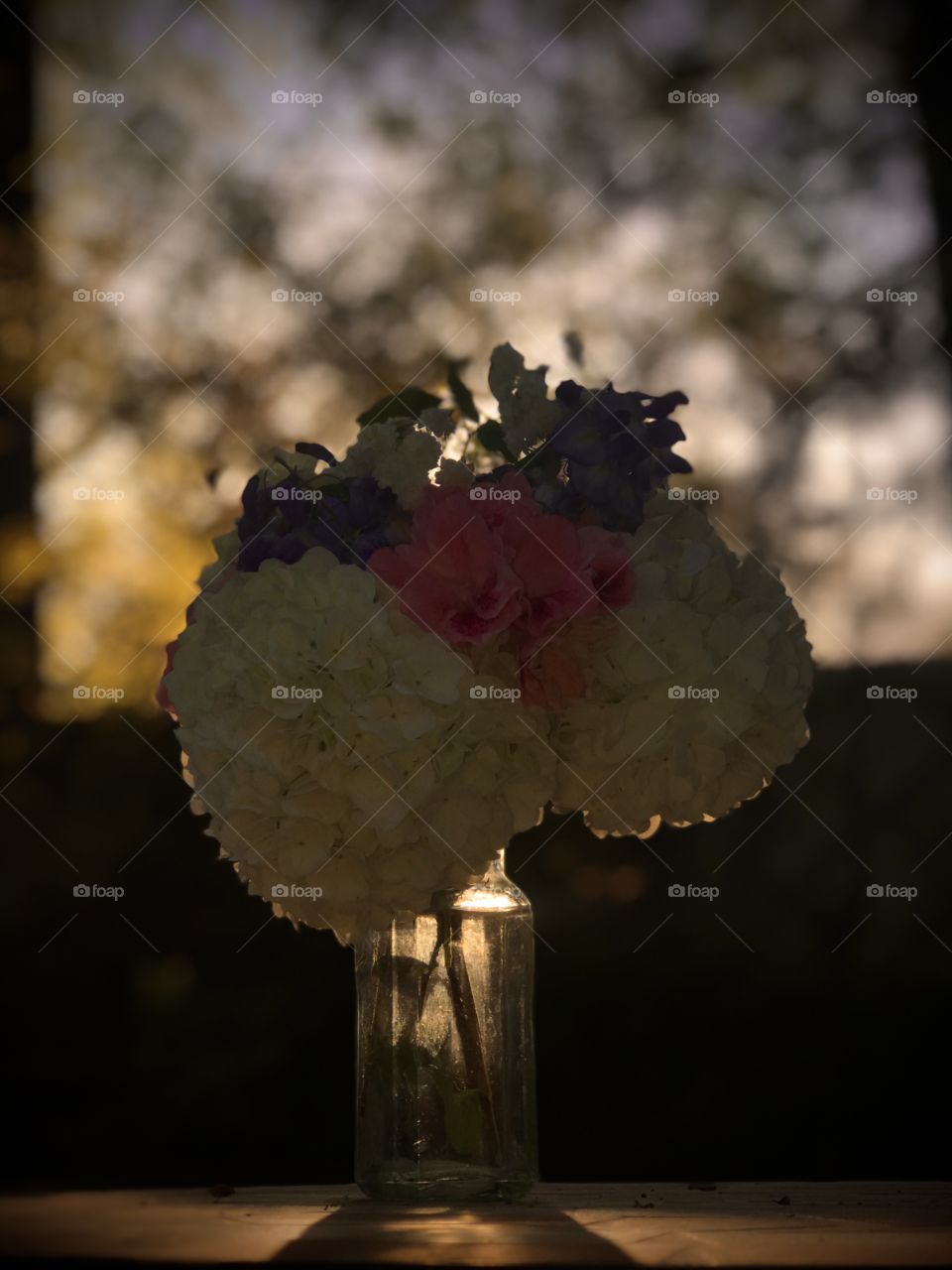 Golden hour flowers