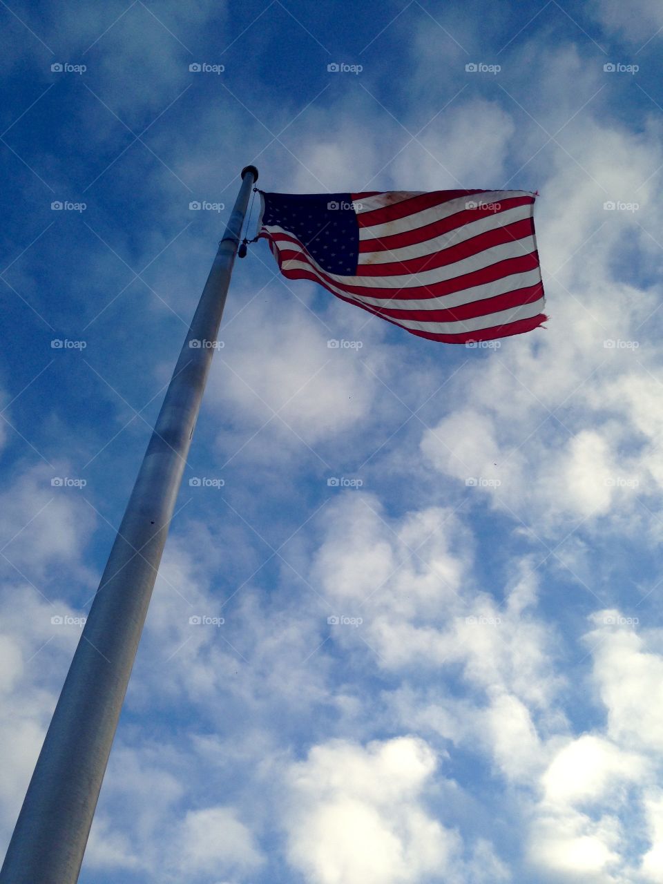 Flag and Flagpole