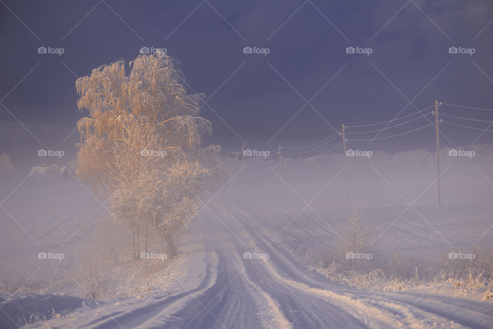 Winter road in Krimulda, Latvia