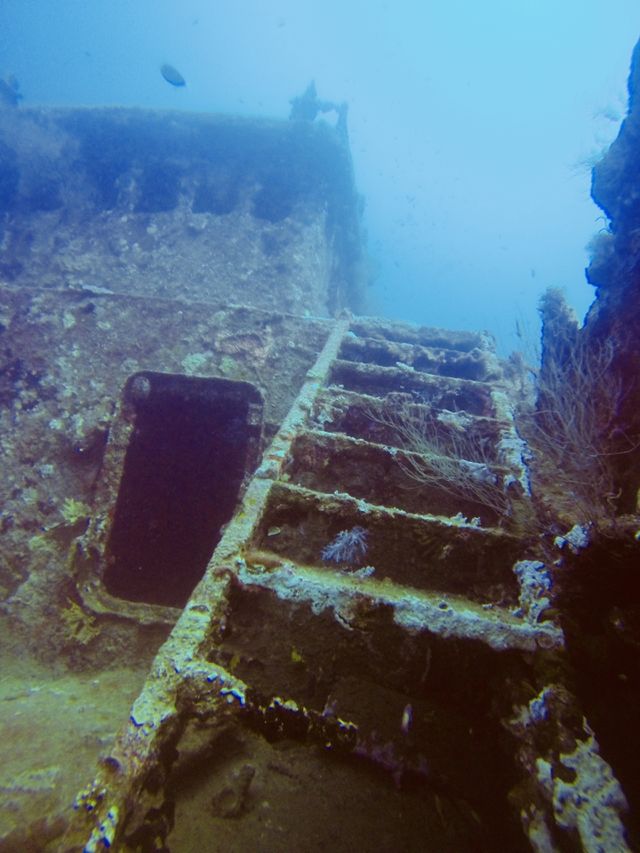 Dive
