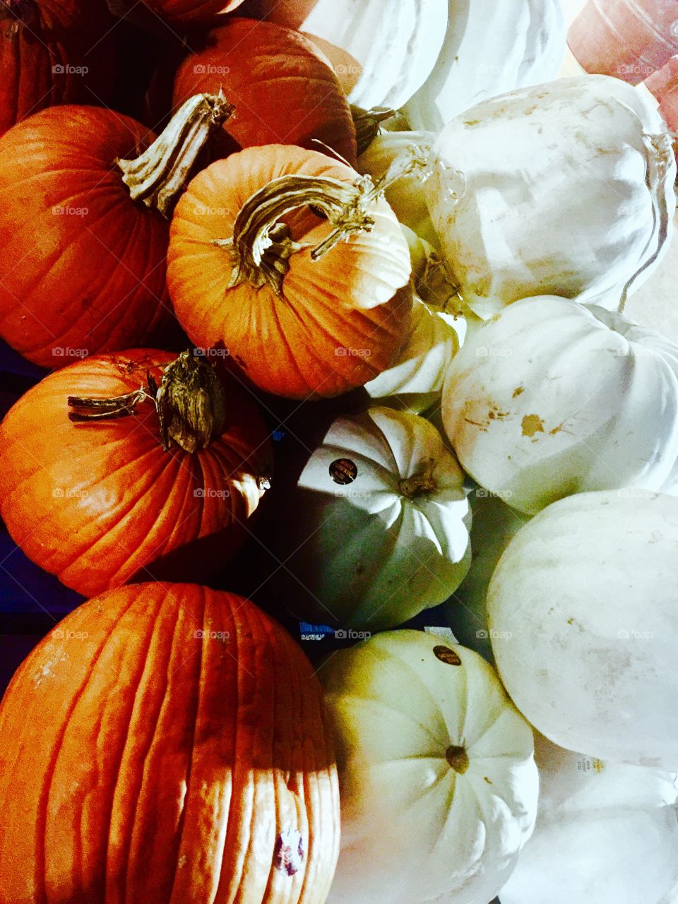 White and orange pumpkins 