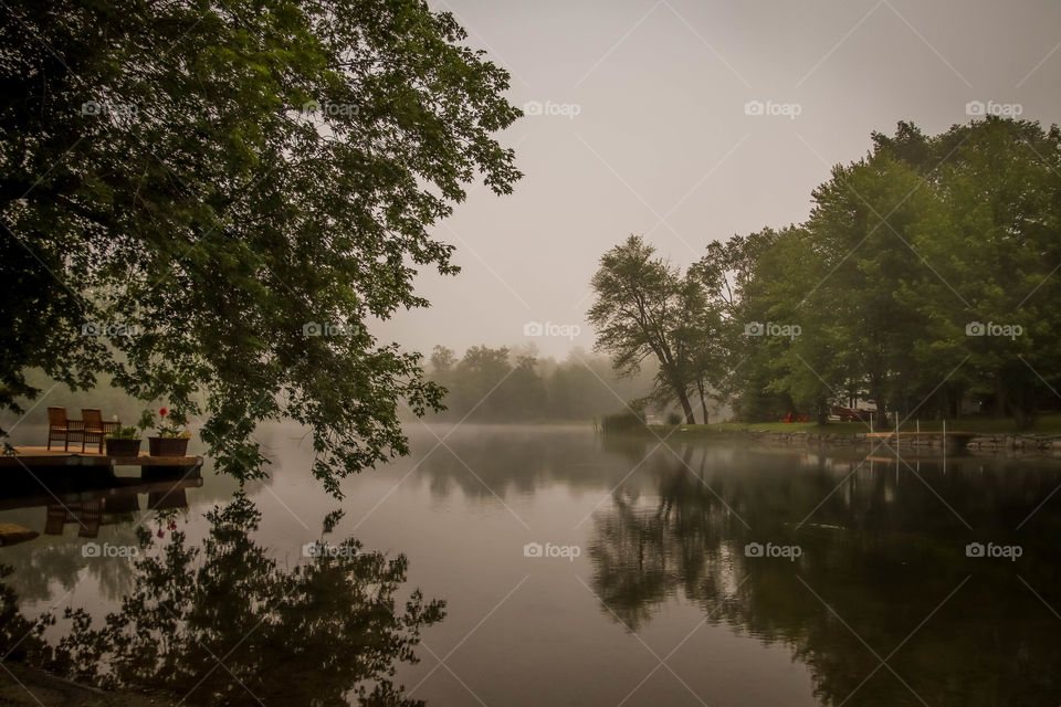 Foggy morning