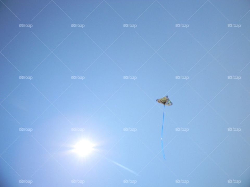 Kite in flight