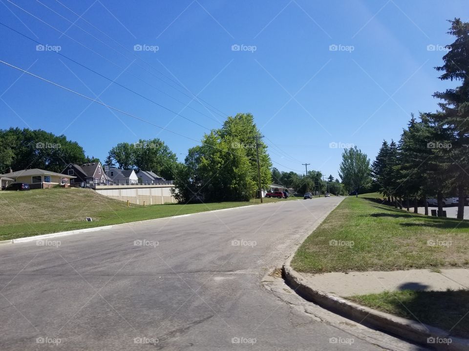 Road, Landscape, Tree, Guidance, No Person