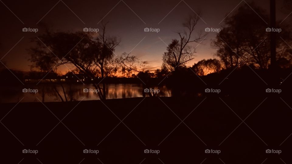Sky is close to night for this Evening Shot. Backlit Appearance is providing enough light to give this pic the clarity it deserves for being a Great Shot.