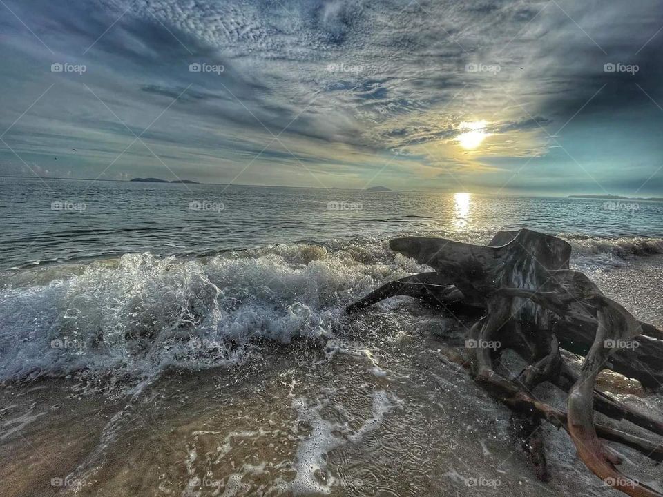 Serene morning over the beach.