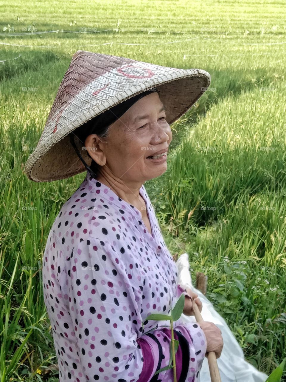 A mother is watching for bird pests in the rice fields.