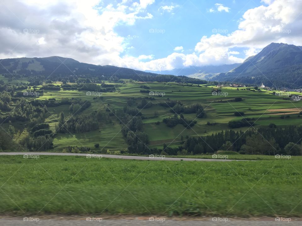 Switzerland fields