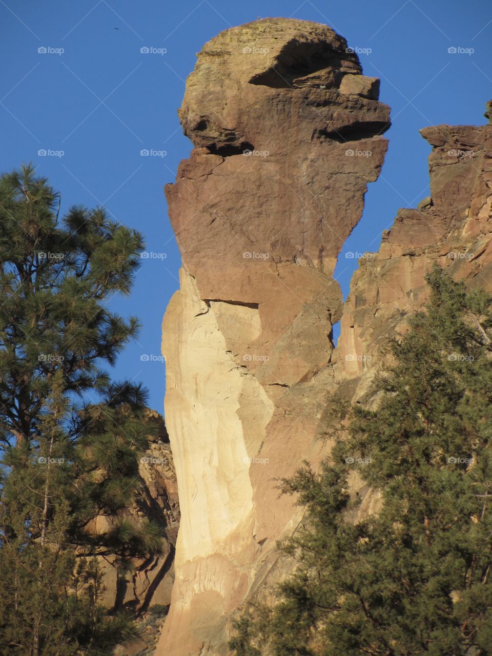 Monkey Face at Smith Rock State Park