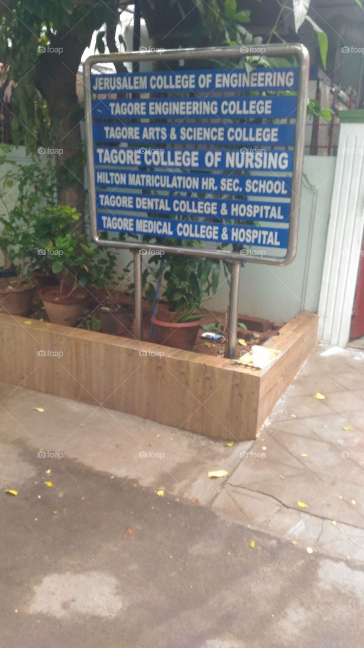 Tagore group college