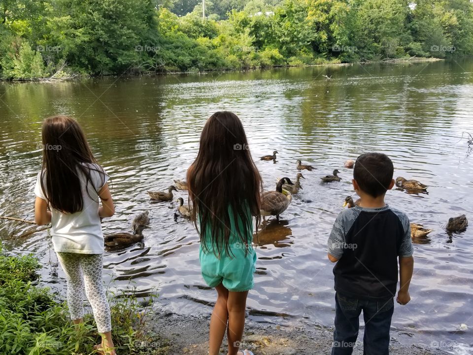 feeding ducks at the pond