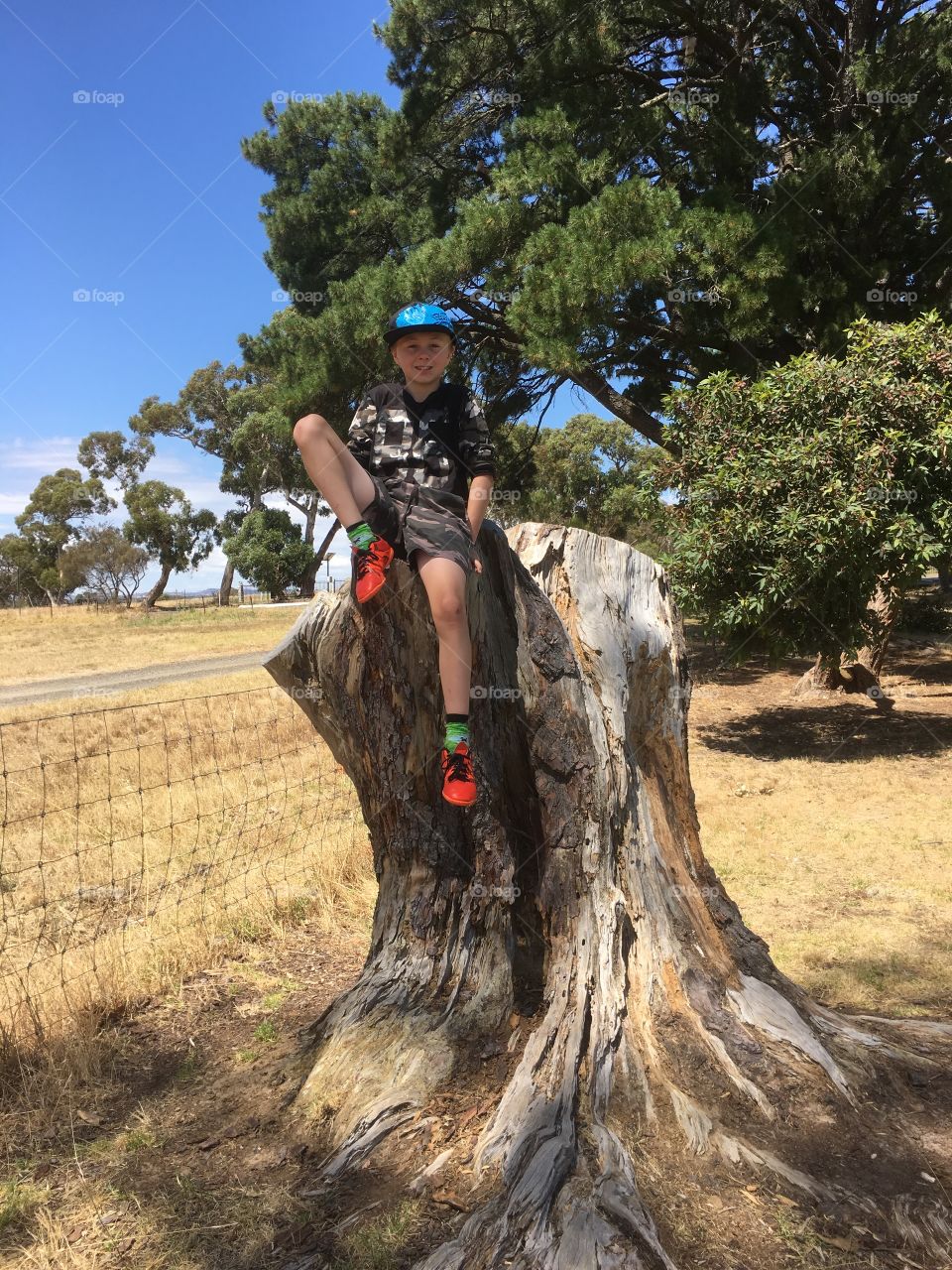 Boy sitting on a tree stump